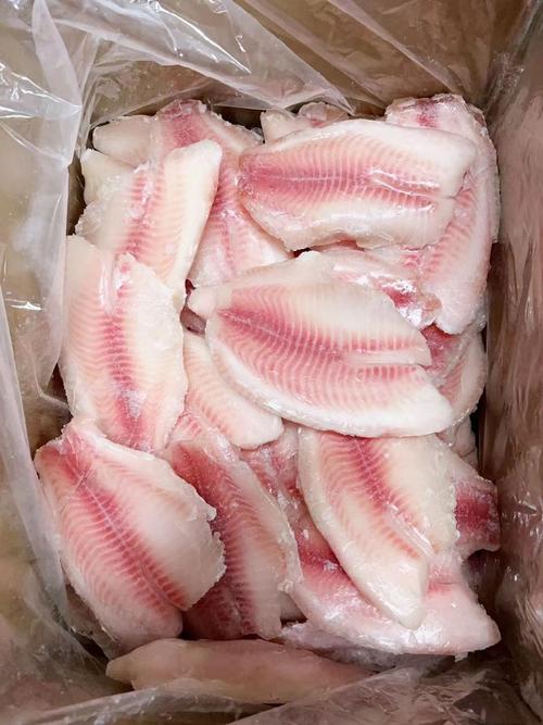 Frozen Dory Fish Fillet (Vietnamese)
